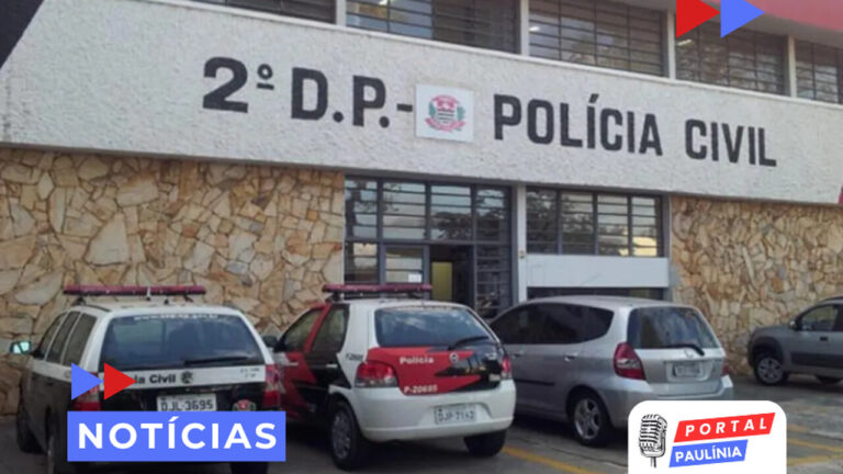 Polícia Civil Recupera Produtos Furtados e Prende Receptador em Paulínia