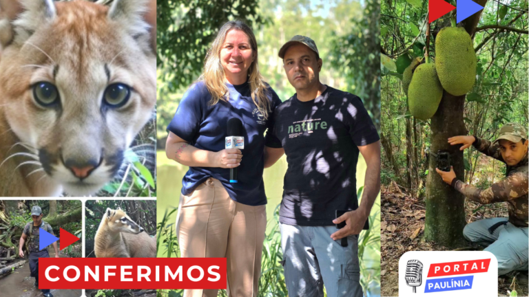 Projeto ambiental independente em Americana sofre furtos e pede apoio para continuar