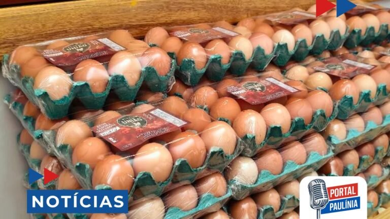 Preço dos ovos dispara e influencia custo da cesta básica